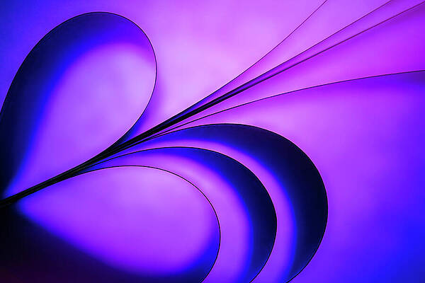 Abstract Wall Art featuring the photograph Emotional Conflict - Paper Abstract by Elvira Peretsman