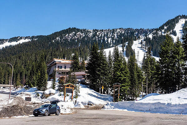 Spring Photograph - Empty Stevens Pass Parking In Spring by Tom Cochran