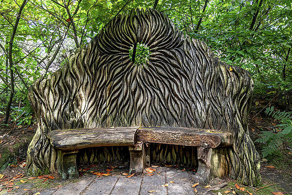 Unite Kingdom Wall Art featuring the photograph Enchanted Forest Bench by Shirley Mitchell