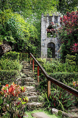 Enchanted Garden Pathway Wall Art