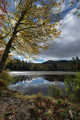 Fall Wall Art featuring the photograph Enchanted by Todd Wilkinson