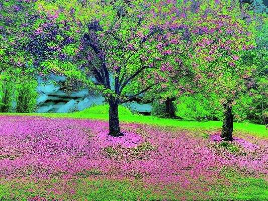 Wall Art featuring the digital art End Of The Blossoms by Bruce Block