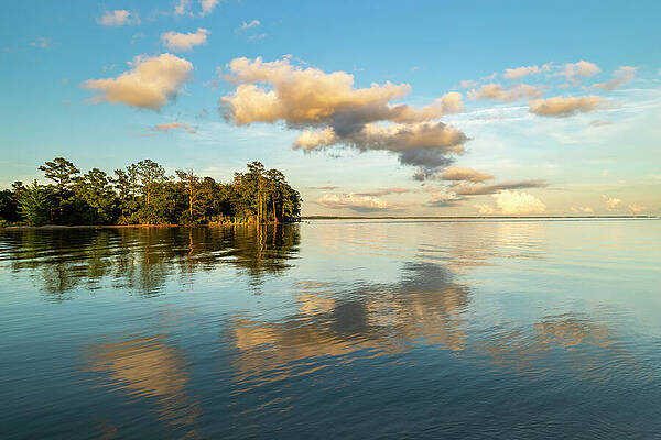 Sky Wall Art featuring the photograph Enjoy The Simple Beauty by David Fountain