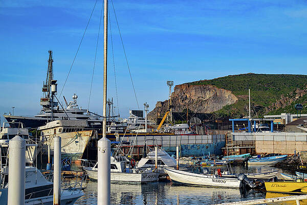 Mexico Photograph - Ensenada Harbor by William Scott Koenig