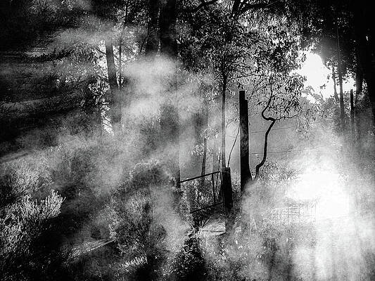 Photograph - Entrance To The Unknown - Mist In The Garden Of Time by Jeremy Holton