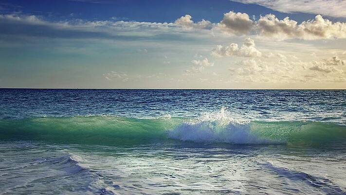 Wall Art featuring the photograph Envy by Rebecca Herranen