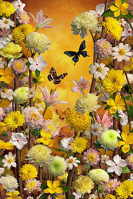 Ephemeral by Steven Lutz