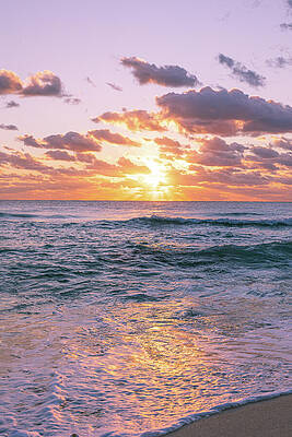 Sunset Wall Art featuring the photograph Escape To Paradise by Nova Rae