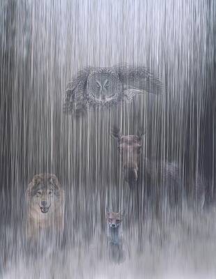 Nature Photograph - Ethereal Forest by Linda Ryma