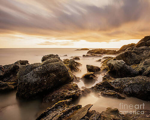 Wall Art featuring the photograph Ethereal Moss Beach, California by Abigail Diane Photography