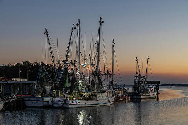 South Carolina Wall Art featuring the photograph Evening At Shem Creek by Douglas Wielfaert