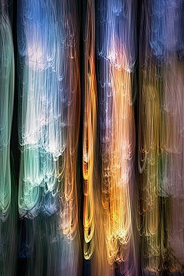 Tree Photograph - Evening Cedars by Ursula Abresch