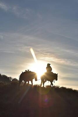 Cowboy Wall Art featuring the photograph Evening Commute by Alden White Ballard