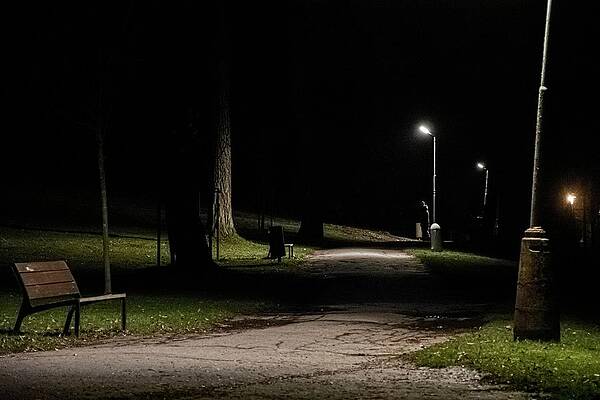Nature Photograph - Evening Mood In The Park by Robert Grac