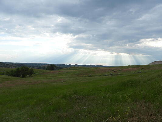 Serene Wall Art featuring the photograph Evening Rays 3 by Amanda R Wright