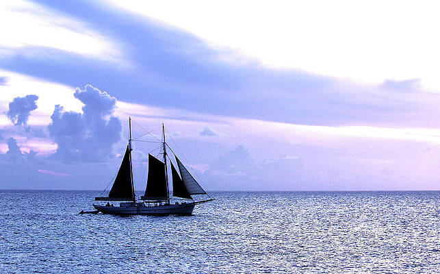 Blue Wall Art featuring the photograph Twilight Sail - St. Maarten by Ron Berezuk