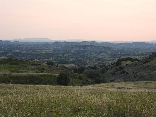 Serene Wall Art featuring the photograph Evening View 4 by Amanda R Wright