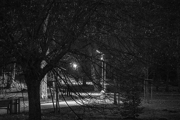 Nature Photograph - Evening Walk by Robert Grac