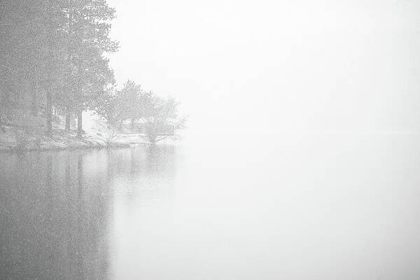 Tree Wall Art featuring the photograph Evergreen Lake, Colorado In Snow Storm by Robert Niemeier