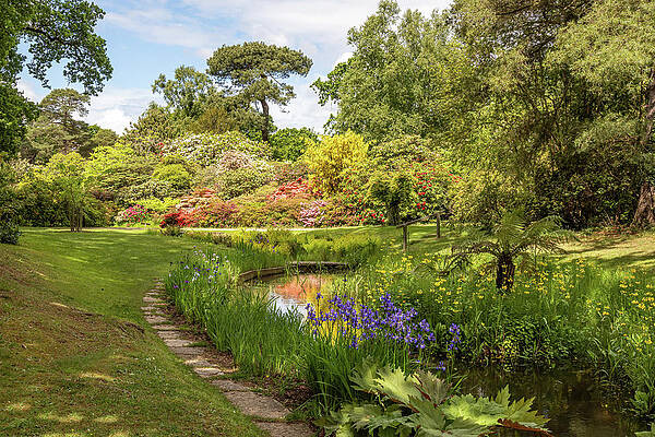 Spring Wall Art featuring the photograph Exbury Gardens by Shirley Mitchell