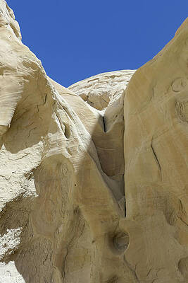 Wall Art featuring the photograph Exclamation Point by Sunniye Buesing