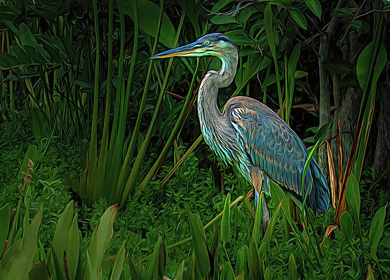 Wall Art featuring the photograph Expressionistic Great Blue Heron Hunting by Rebecca Herranen