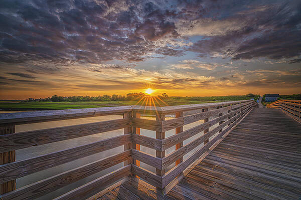 Wall Art featuring the photograph Fabulous Morning by Penny Polakoff