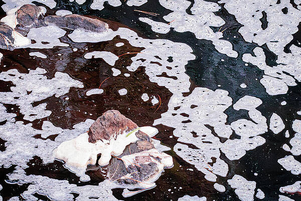 Wall Art featuring the photograph Faces In Frozen Pond by Robert Niemeier