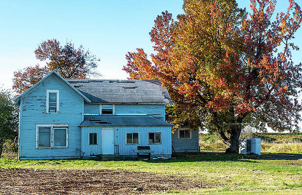 Fall Wall Art featuring the photograph Faded Blue House And Autumn Maple by Tom Cochran