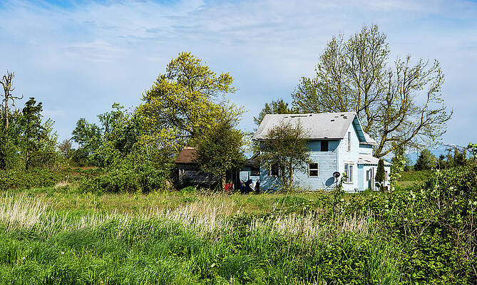 May Photograph - Faded House In May by Tom Cochran