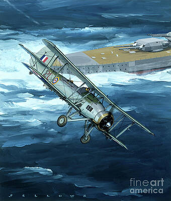 Airplane Wall Art featuring the painting Fairey Mk.1 Swordfish by Jack Fellows