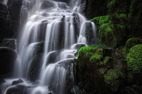 Moody Photograph - Fairy Falls Closeup With Moss, Oregon by Abbie Warnock