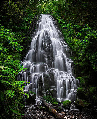 Landscape Photograph - Fairy Falls, Oregon - Full View - Vertical by Abbie Warnock