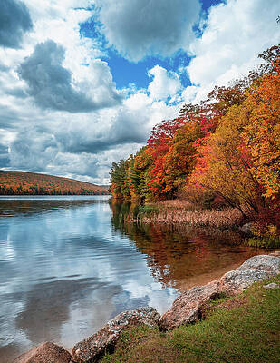 Nature Wall Art featuring the photograph Fall At Mauch Chunk Lake Shoreline Portrait by Jason Fink