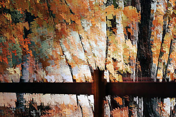 Nature Photograph - Fall Branches 7 by Ursula Abresch