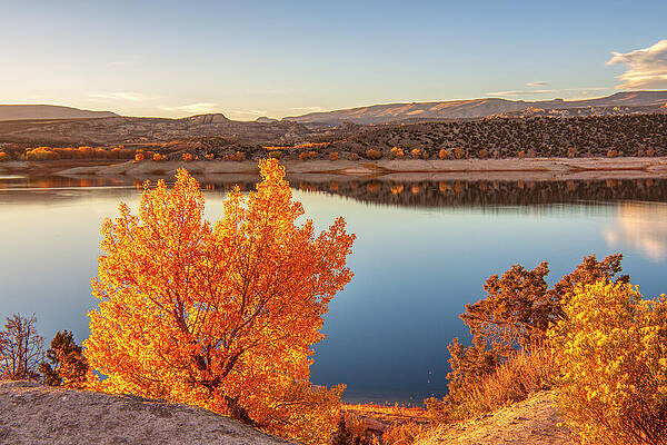 Fall Wall Art featuring the photograph Fall Colors At Flaming Gorge Reservoir, Utah by Tatiana Travelways