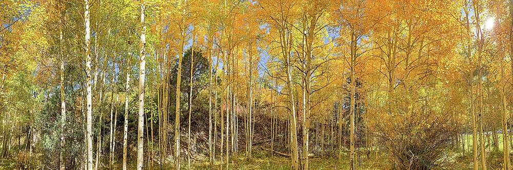 Wall Art featuring the photograph Fall Colors Along The Enchanted Circle by Rebecca Herranen