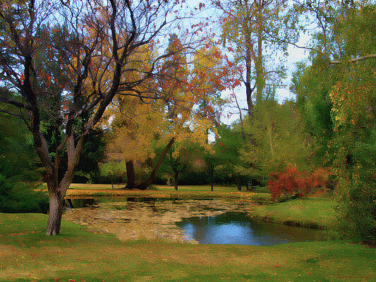 Quiet Wall Art featuring the photograph Fall Colors by Barbara Siegel