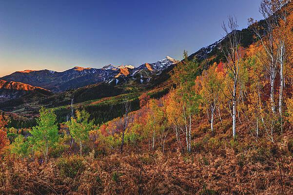 Color Photograph - Fall Colors Near Mount Timpanogos by Abbie Warnock