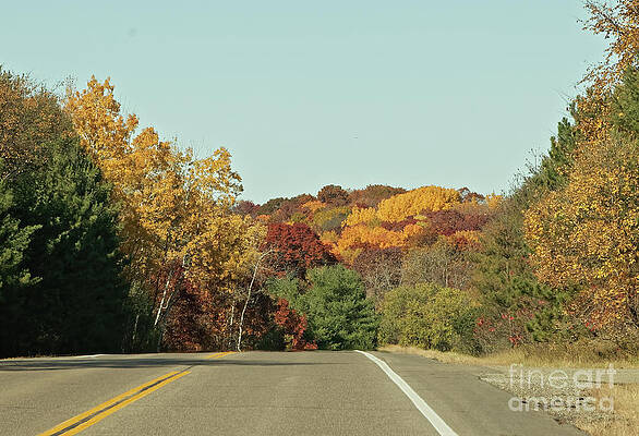 Fall Photograph - Fall Country Roads In Minnesota by Natural Focal Point Photography