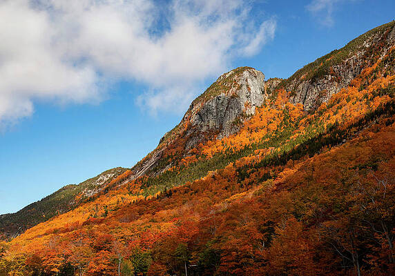 Wall Art featuring the photograph Fall Foliage Franconia Notch by Dan Sproul