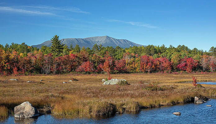Wall Art featuring the photograph Fall Foliage In Baxter State Park by Dan Sproul