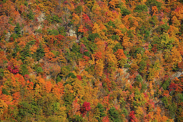 Wall Art featuring the photograph Fall Gradient Mount Tammany by Raymond Salani III