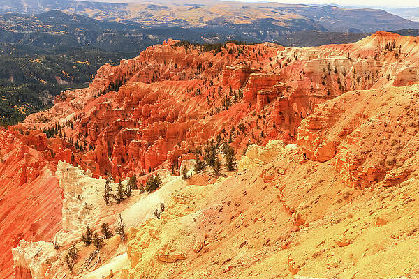 Utah Wall Art featuring the photograph Fall In Cedar Breaks by Dawn Richards