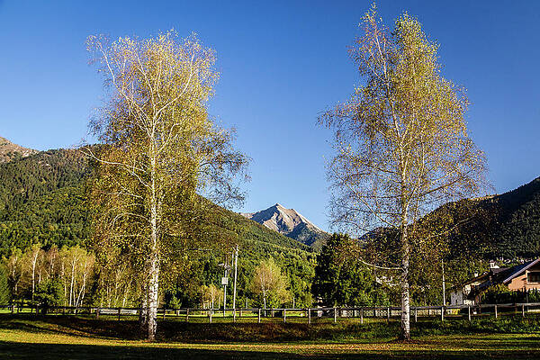 Mountain Photograph - Fall In Italian Alps by Craig A Walker