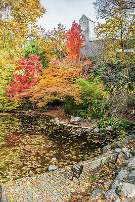 Oregon Photograph - Fall In Lithia Park by Diane Moller