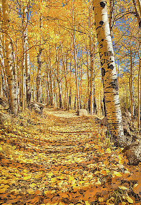 Photograph - Fall In Love by Rebecca Herranen