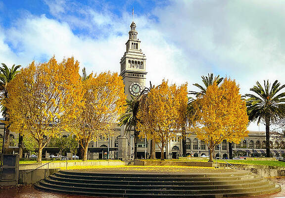 Wall Art featuring the photograph Fall In SF by Louis Raphael