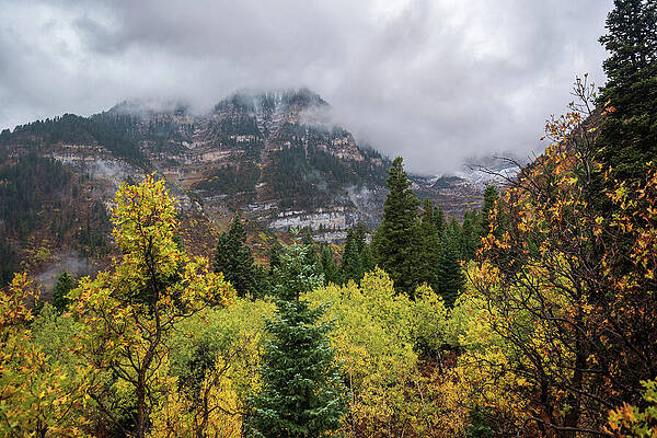 Utah Wall Art featuring the photograph Fall In Utah by Diane Moller