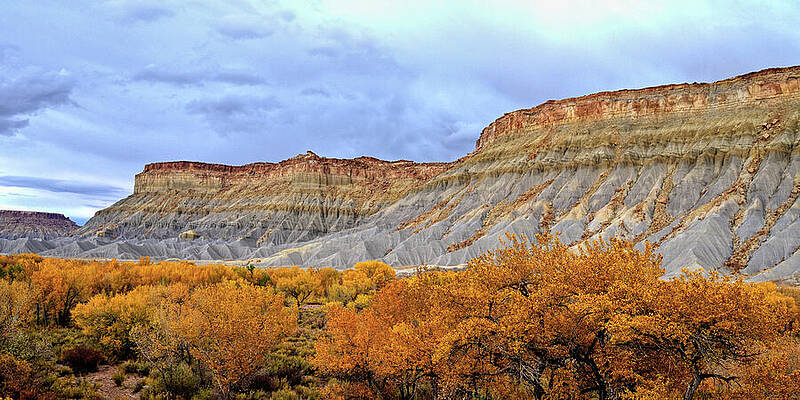 Majestic Mountain and Autumn Foliage Wall Art